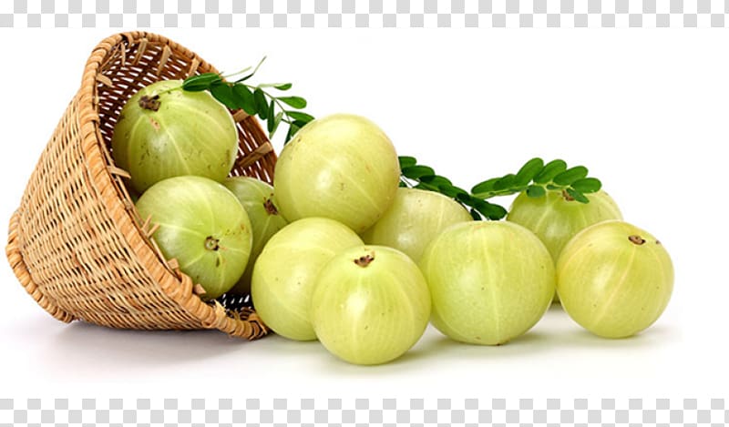 Indian gooseberry Health Herb Myrobalan, oil herbal transparent background PNG clipart