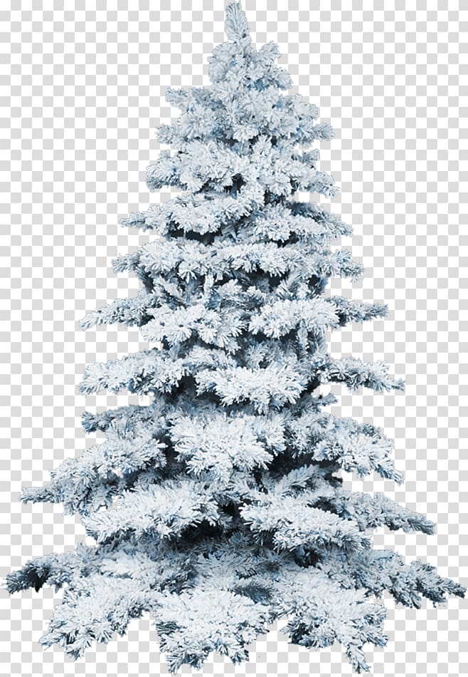 Christmas tree Snow , Christmas tree transparent background PNG clipart