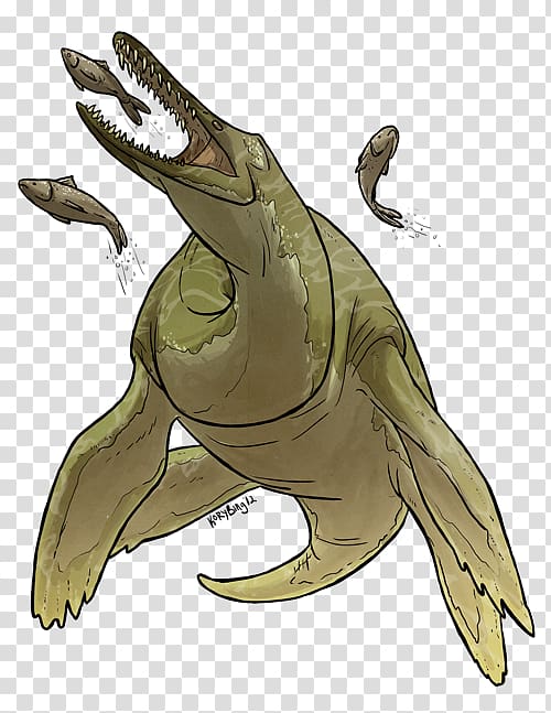 Tyrannosaurus Turtle Amphibian Marine mammal, turtle transparent background PNG clipart