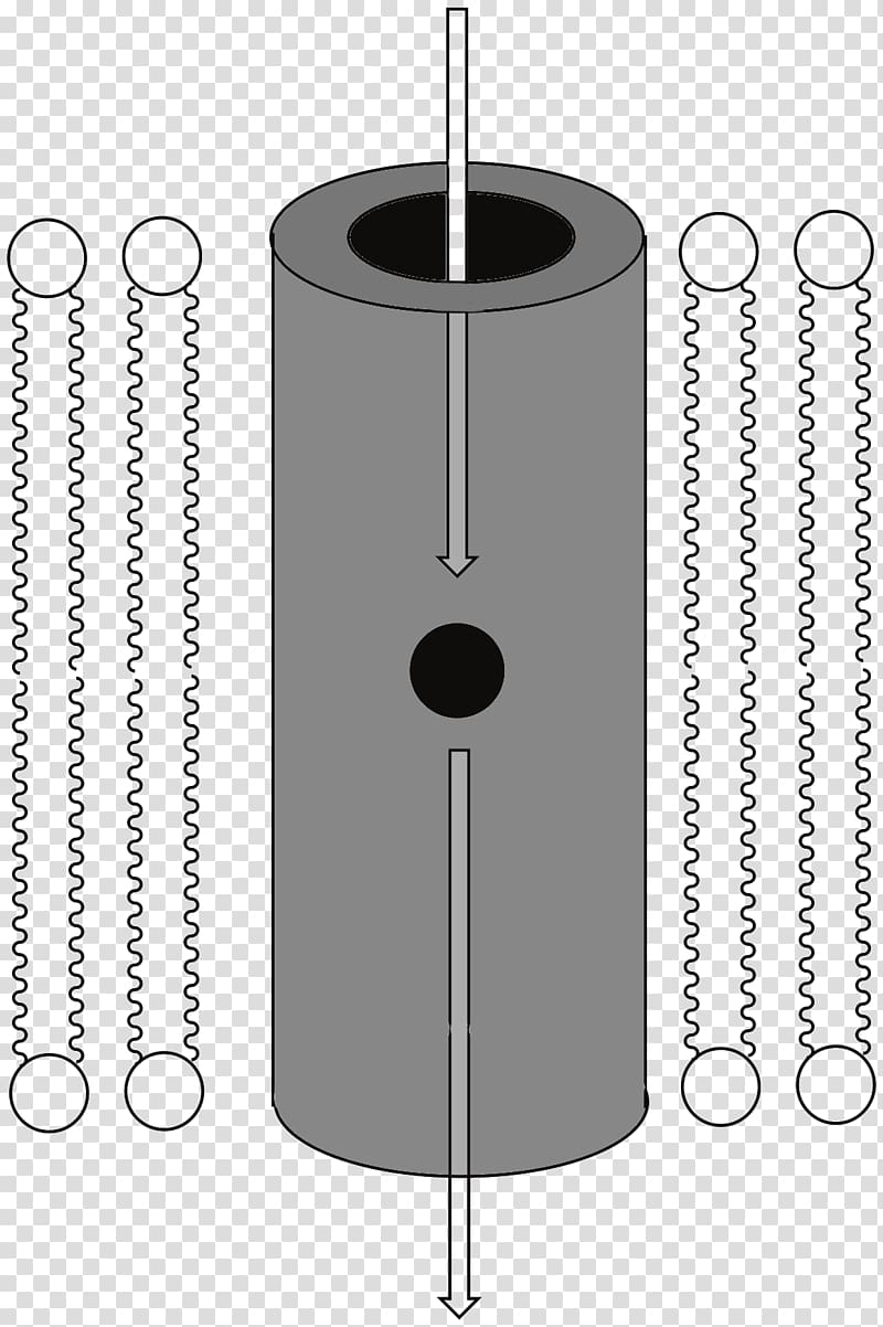 Cell membrane Ionophore Chemistry Ion channel, others transparent background PNG clipart