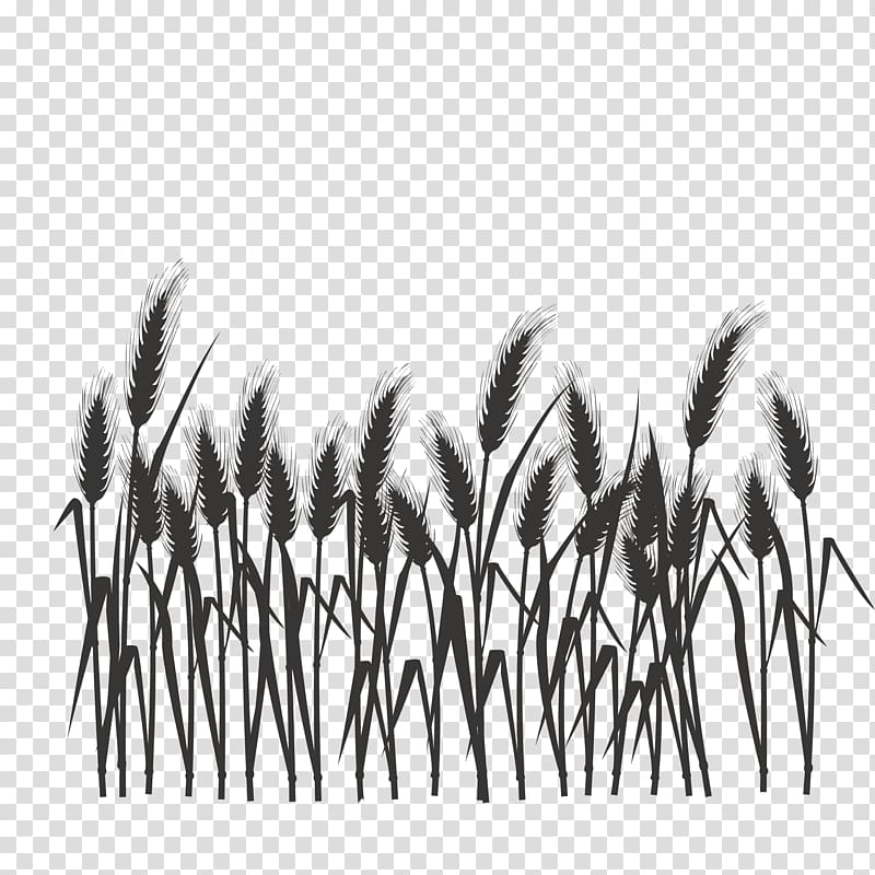 black grass illustration, Silhouette Black and white, Silhouette of wheat field transparent background PNG clipart