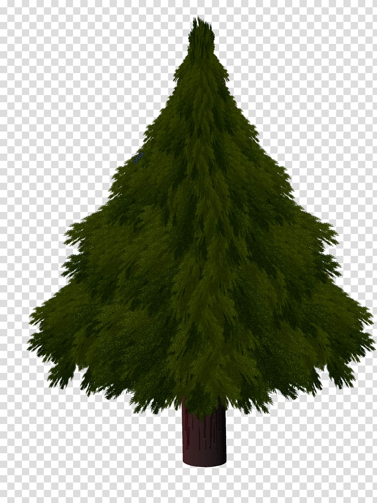 Christmas tree Drawing , Christmas Tree Drawing S transparent background PNG clipart