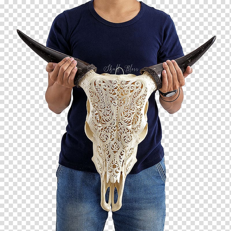 XL Horns Skull Cattle Barbed wire, skull transparent background PNG clipart
