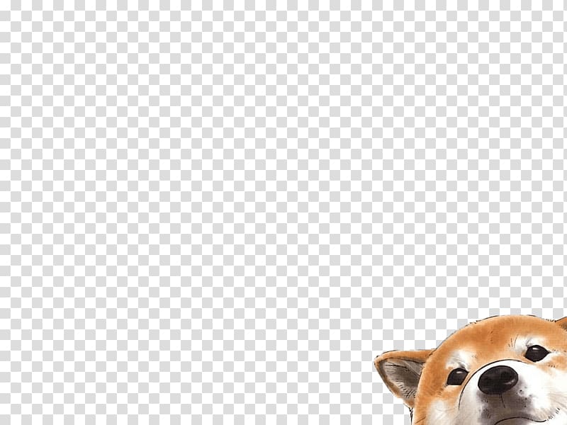 Pembroke Welsh Corgi Golden Retriever Pomeranian Puppy, cute dog transparent background PNG clipart