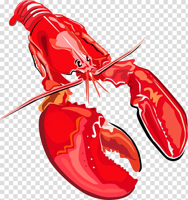 Lobster Seafood , Shellfish transparent background PNG clipart