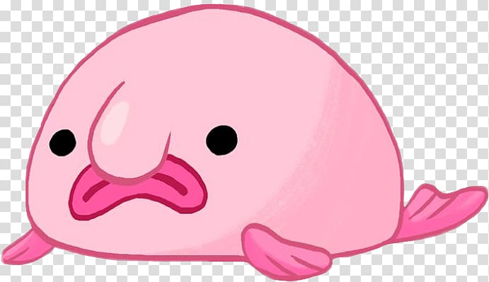 Pink is for Blobfish: Discovering the World\'s Perfectly Pink Animals Drawing, blobfish transparent background PNG clipart