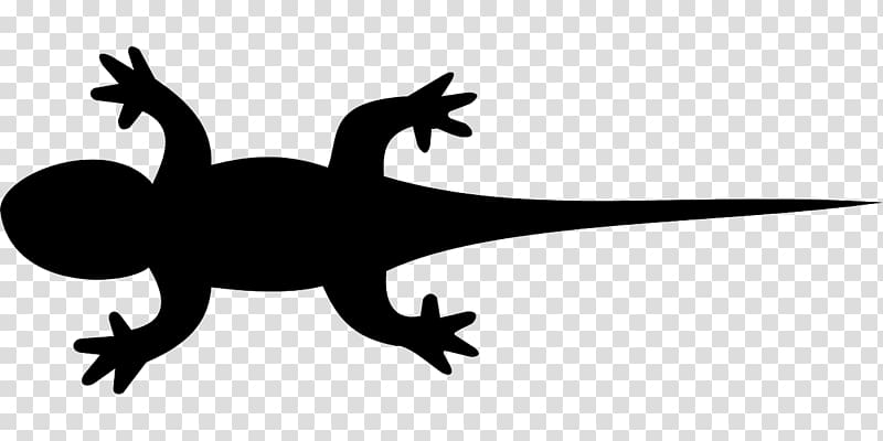 Lizard Reptile graphics Gecko, lizard transparent background PNG clipart