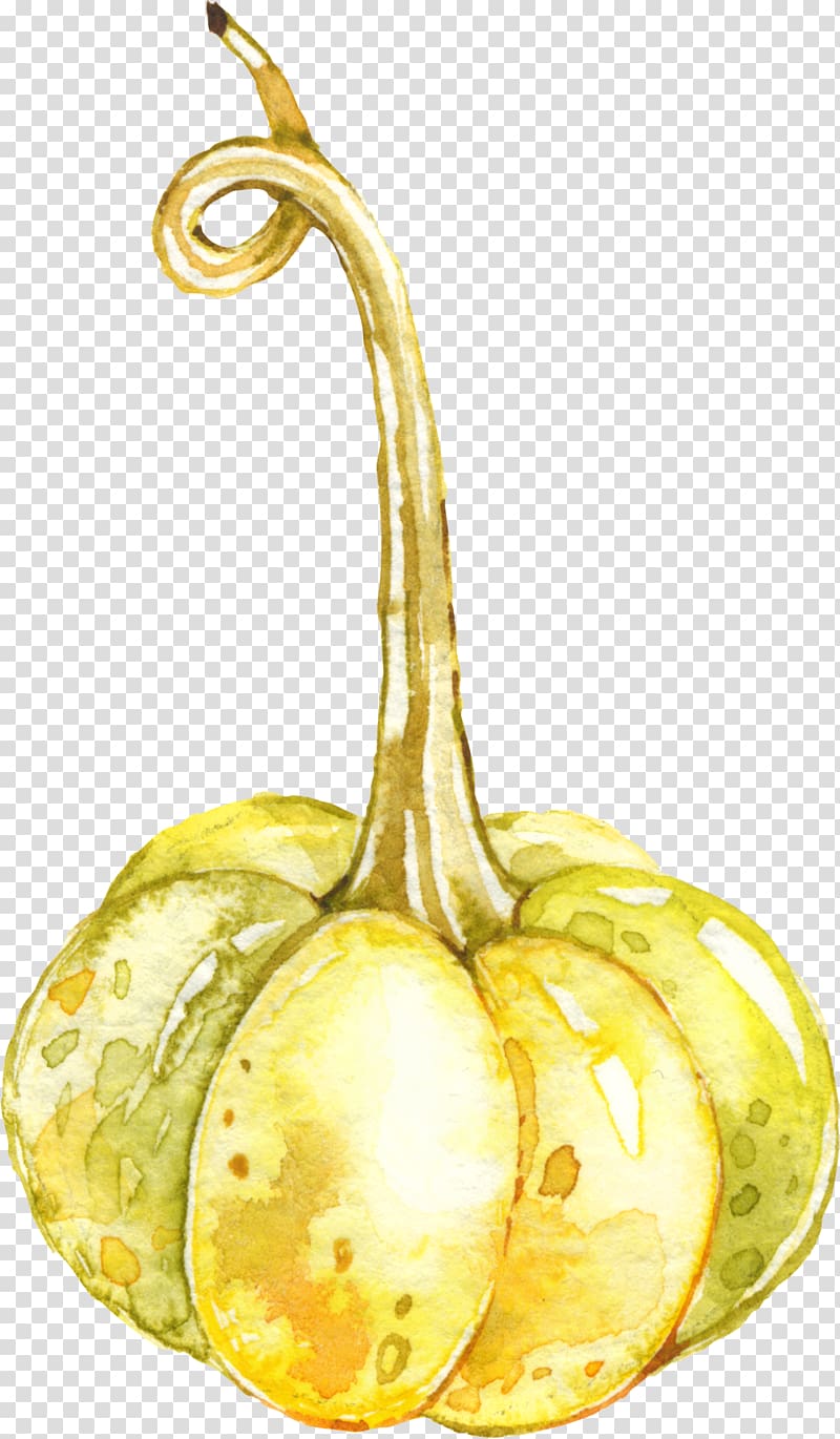 Auglis Fruit Pumpkin Cartoon, pumpkin transparent background PNG clipart