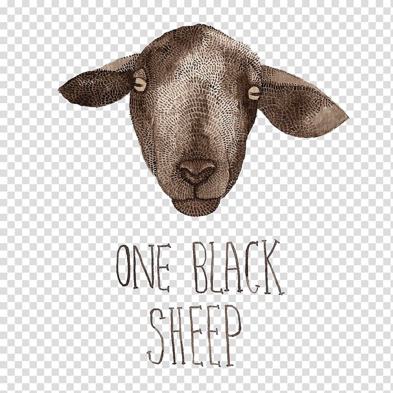 Goat Grey Troender sheep Black sheep Counting sheep, sheep suede coat transparent background PNG clipart