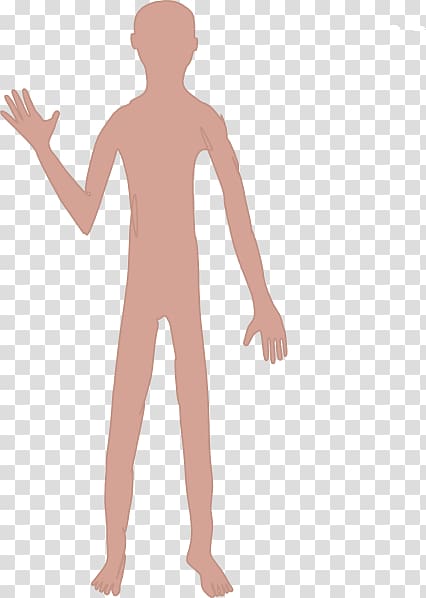 Thumb Human body Homo sapiens , male body transparent background PNG clipart