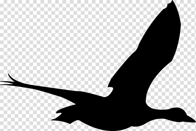 Bird Flight Goose , animal silhouettes transparent background PNG clipart