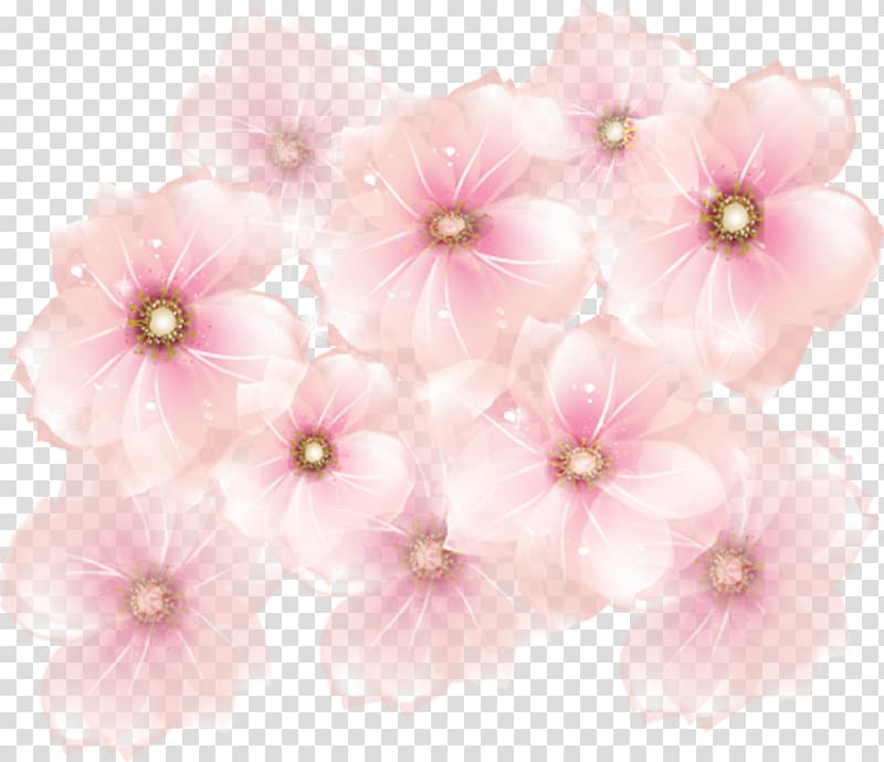 Pink flowers , Pink Flowers , pink cherry blossom flowers transparent background PNG clipart