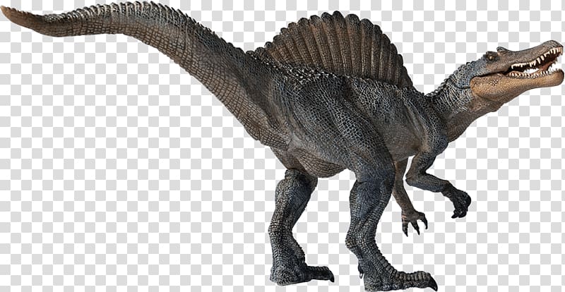 Spinosaurus Velociraptor Tyrannosaurus Dinosaur Theropods, dinosaur transparent background PNG clipart