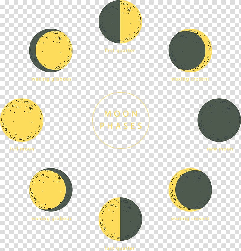 Lunar phase Euclidean Vecteur Computer file, hand painted moon phase transparent background PNG clipart