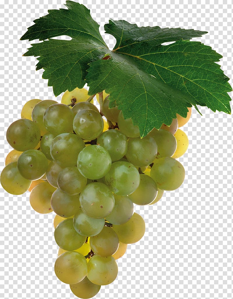 Shiraz Cabernet Sauvignon Sauvignon blanc Wine Grape, grape transparent background PNG clipart