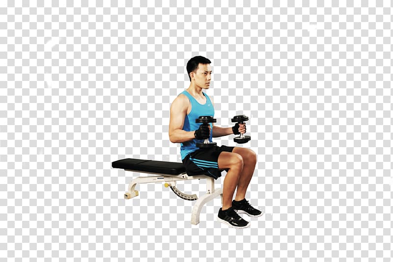 Biceps curl Dumbbell Physical fitness Bench, dumbbell transparent background PNG clipart