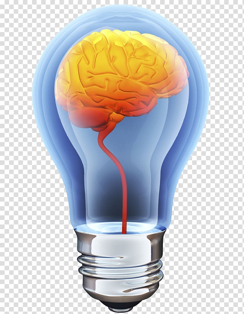 brain bulb transparent background PNG clipart