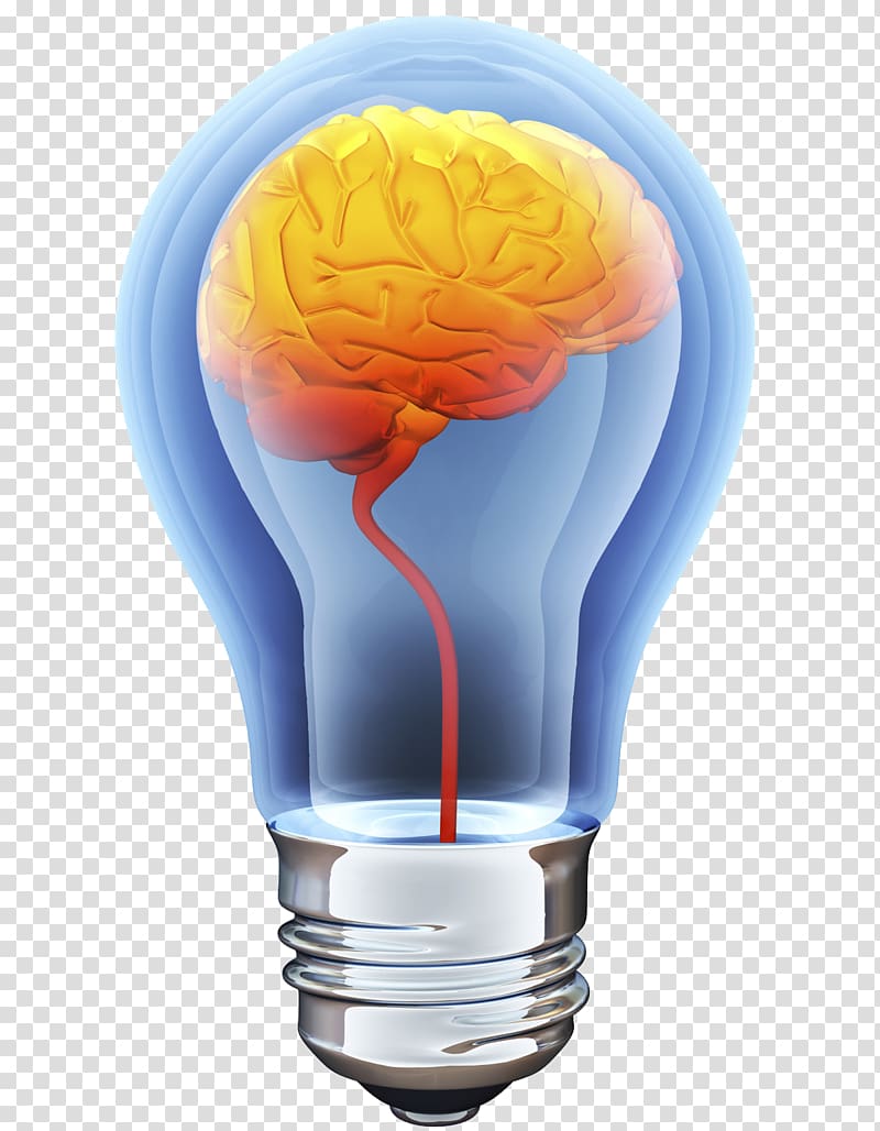 clear bulb illustration, Human brain Incandescent light bulb illustration, Brain bulb transparent background PNG clipart