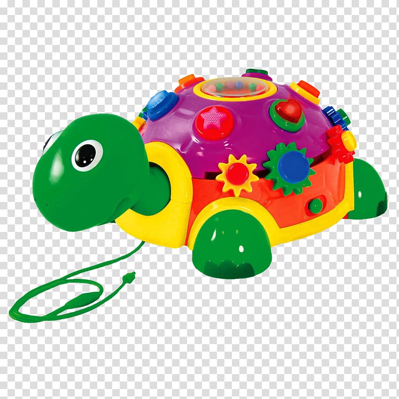 Turtle Educational Toys Child Toddler, turtle transparent background PNG clipart