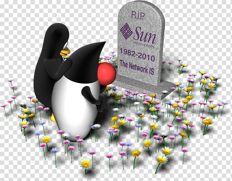 Sun Microsystems Sun acquisition by Oracle Java Oracle Corporation ZFS, RIP transparent background PNG clipart