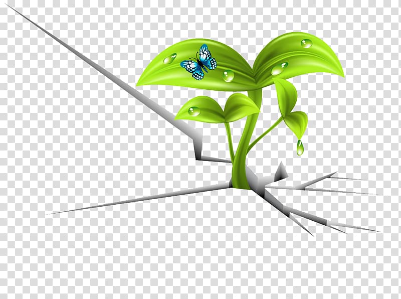Euclidean , Cracks in the plant transparent background PNG clipart