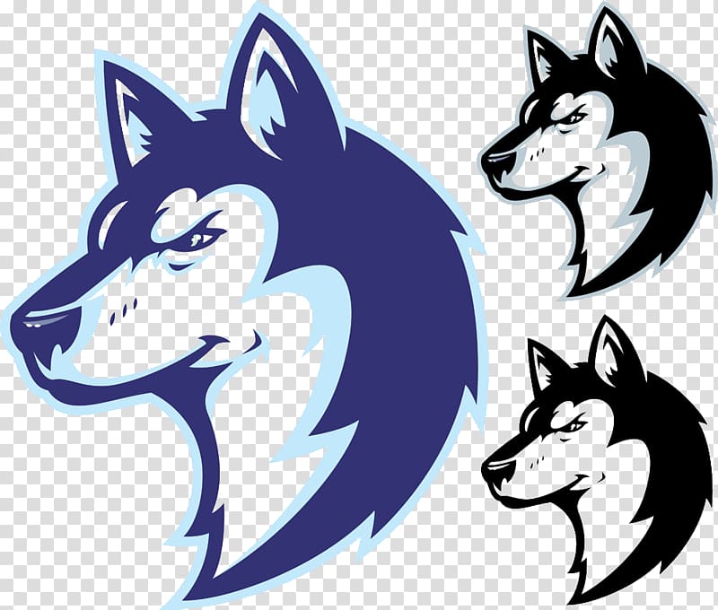 wolf illustration, Oliver Wendell Holmes High School Louis D. Brandeis High School Tom C. Clark High School Nashua-Plainfield High School National Secondary School, Cartoon hand painted blue wolf transparent background PNG clipart
