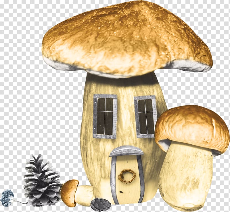 Edible mushroom Boletus edulis Cheeseburger Pleurotus eryngii, mushroom transparent background PNG clipart