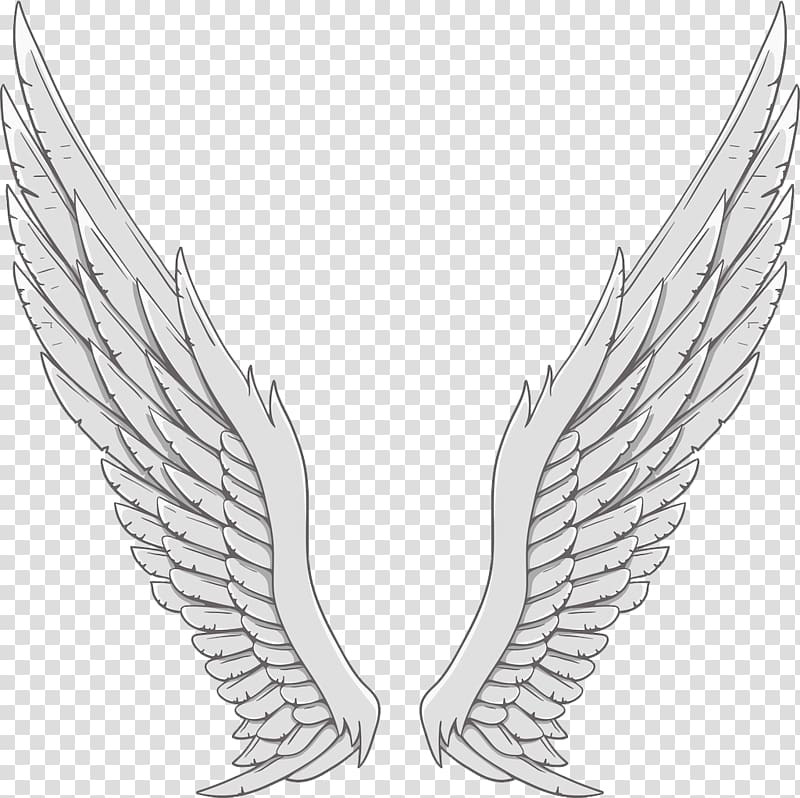 Angel wing White, Silver angel wings transparent background PNG clipart