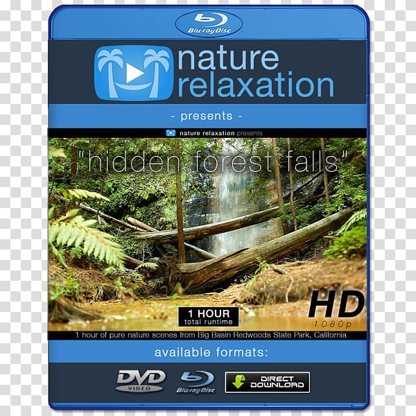 Blu-ray disc 4K resolution Ultra-high-definition television High-definition video, Waterfall Forest Park Kanching transparent background PNG clipart