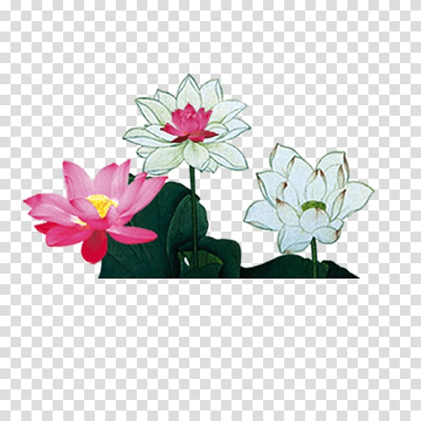 Nelumbo nucifera Mooncake Mid-Autumn Festival Watercolor painting, Classical Chinese style lotus transparent background PNG clipart