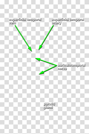 Line Brand Angle Diagram, line transparent background PNG clipart thumbnail