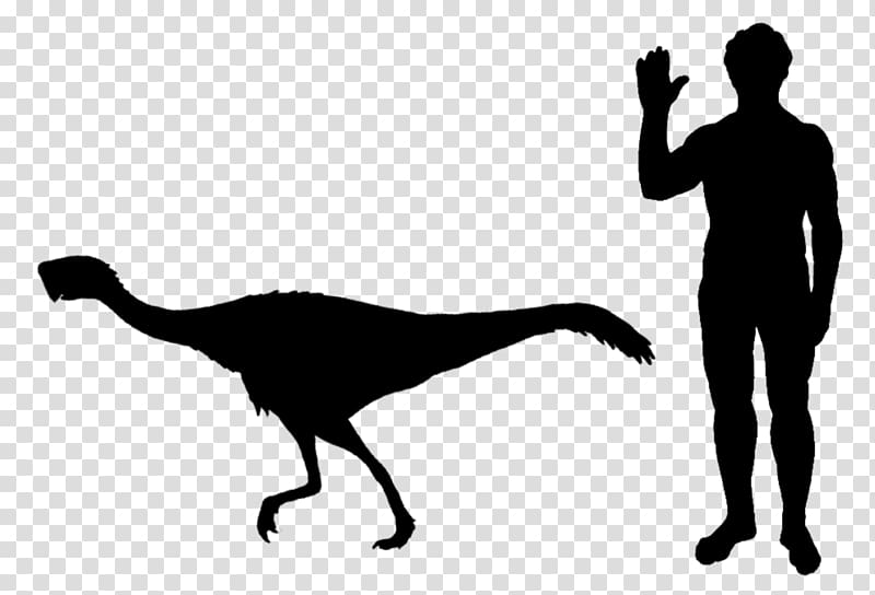 Staurikosaurus Thescelosaurus Velociraptor Microraptor Scansoriopteryx, dinosaur transparent background PNG clipart