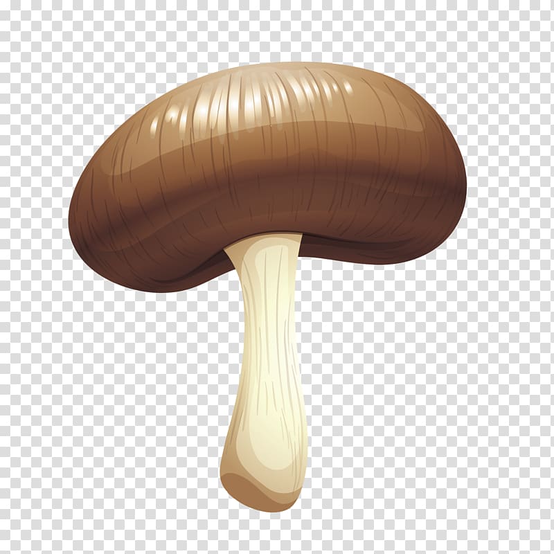 Mushroom Designer, realistic mushrooms transparent background PNG clipart