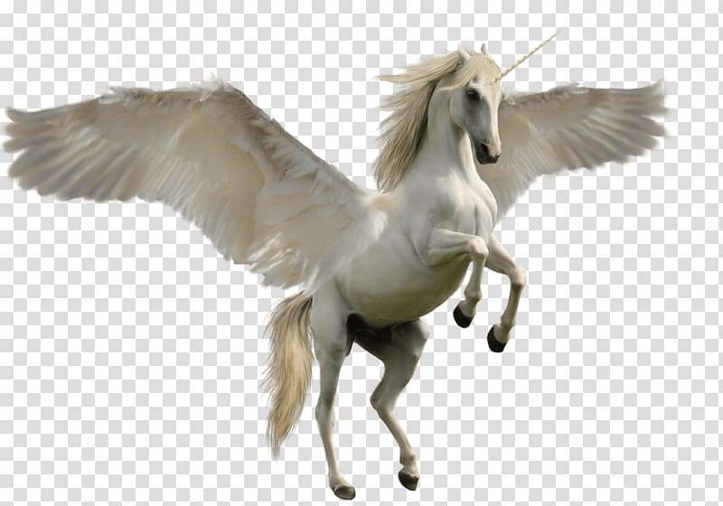 white Pegasus , Unicorn Jump transparent background PNG clipart