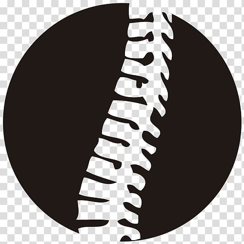 Vertebral column Pain in spine Low back pain Necktie Chiropractor, fisioterapia logo transparent background PNG clipart