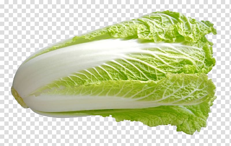 Savoy cabbage Romaine lettuce Spring greens Napa cabbage, Chinese cabbage transparent background PNG clipart