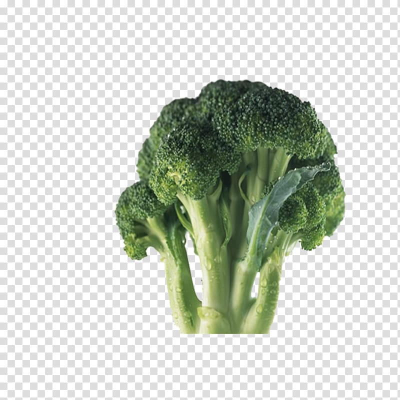 Cauliflower Broccoli Cabbage Genital wart Vegetable, Cauliflower transparent background PNG clipart