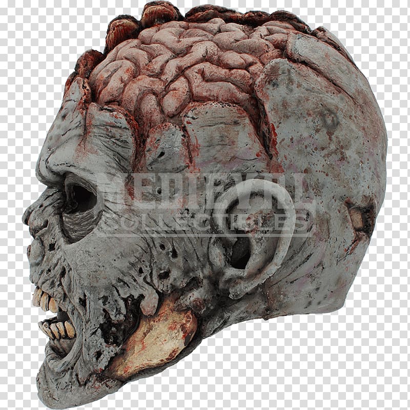 Skull Brain Mask Head Grey matter, skull transparent background PNG clipart
