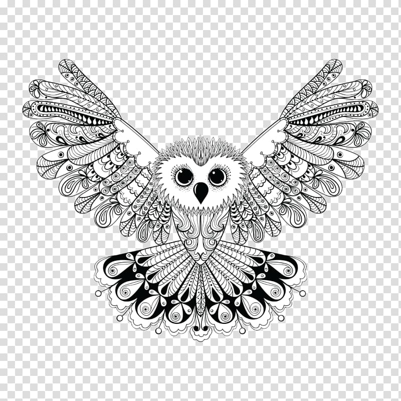 Owls Coloring Books for Adults: For Coloring Markers and Pens, Coloring Books for Adults, Coloring Books for Adults Relaxation, Coloring Book for Grown Ups Owls Coloring Books for Adults: For Coloring Markers and Pens, Coloring Books for Adults, Coloring, owl transparent background PNG clipart
