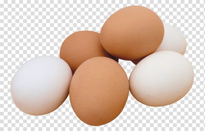 egg PNG transparent image download, size: 1760x2400px