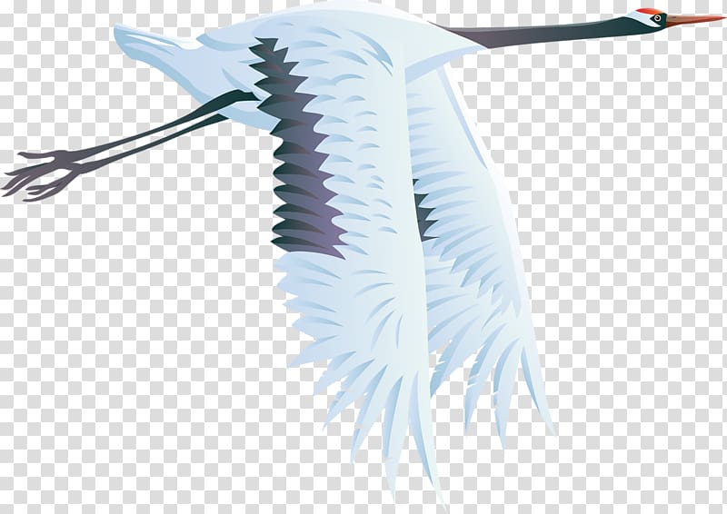 Crane Bird Heron , crane transparent background PNG clipart