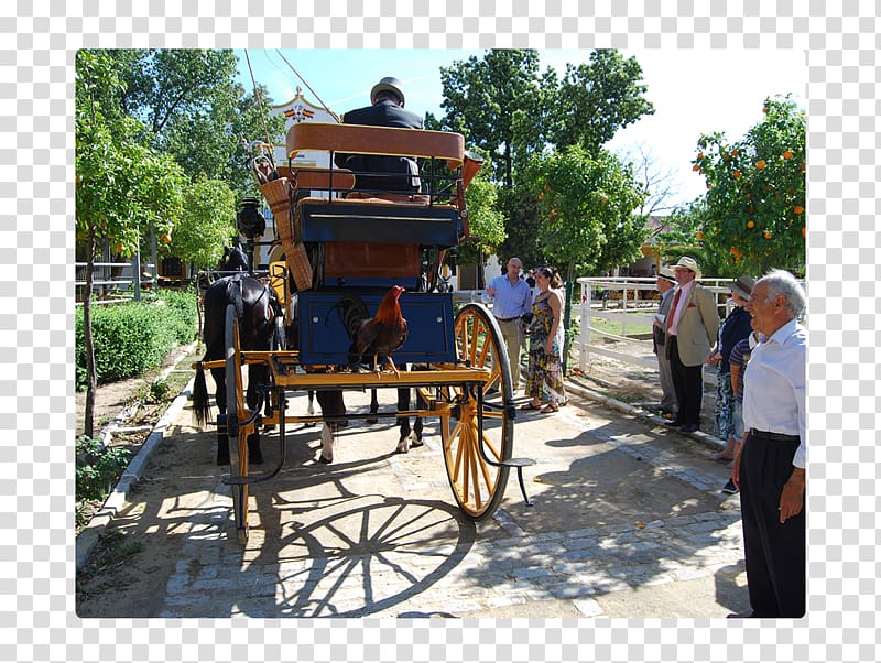 Carriage Horse and buggy Wagon Tree, horse transparent background PNG clipart