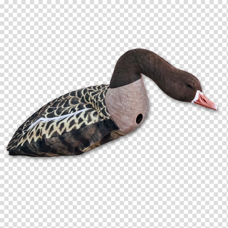 Dangate Greylag goose Duck Danish krone, goose transparent background PNG clipart