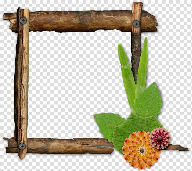 Twig Branch Frames Wood University of Colorado Boulder, TWIG transparent background PNG clipart