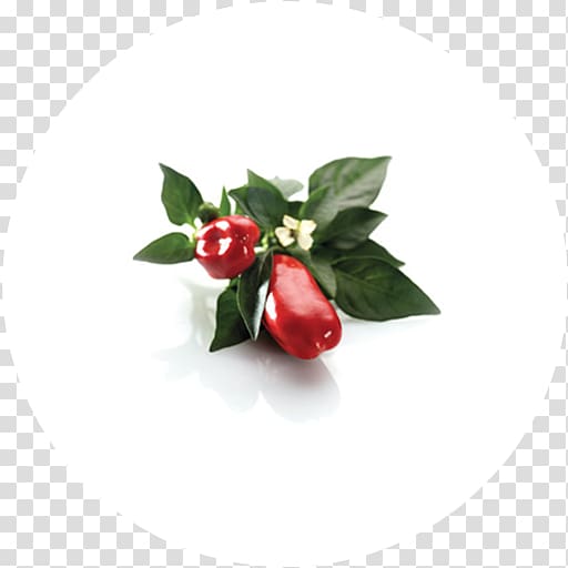 Peppermint Cranberry Herbaceous plant Herbaceous plant, paprika transparent background PNG clipart