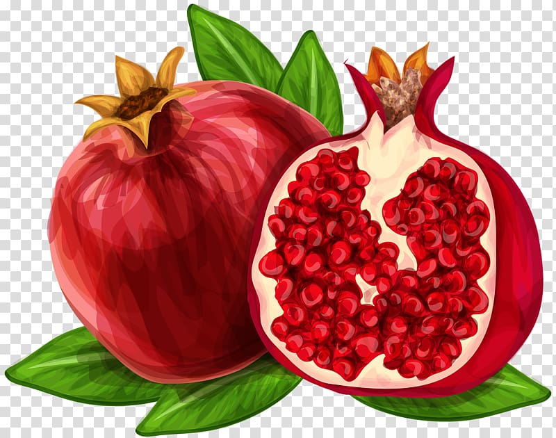 Pomegranate juice , Hand-painted watercolor pomegranate transparent background PNG clipart