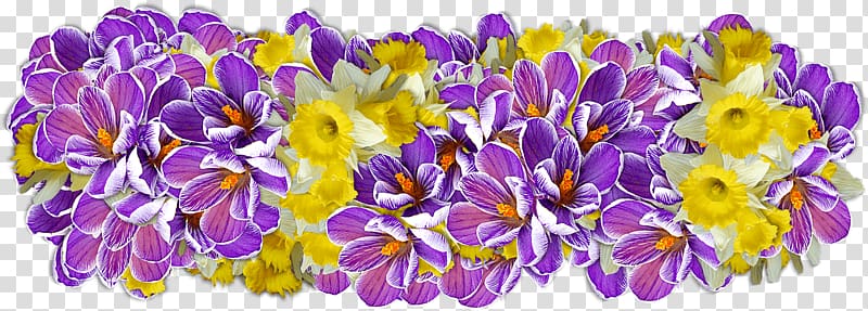 purple and yellow petaled flowers art, Daffodil Presentation transparent background PNG clipart