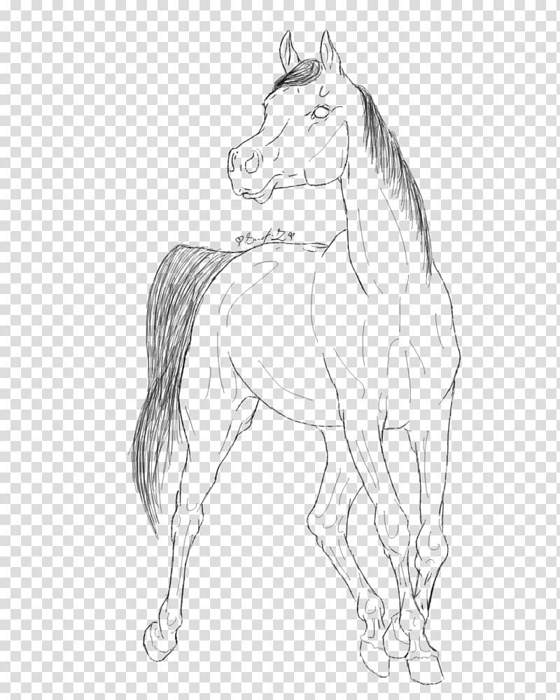 Arabian horse Mustang Foal Pony Clydesdale horse, mustang transparent background PNG clipart