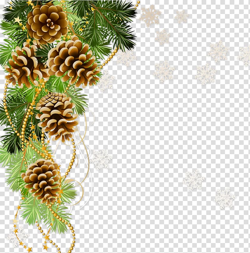 , pine cone transparent background PNG clipart