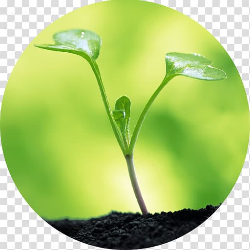 Water Soil Seed Clay Plant, Oxygen Project transparent background PNG clipart